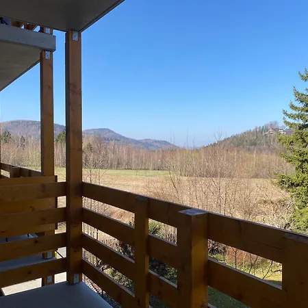 Apartment Przytulny Zakatek Karkonoszy *